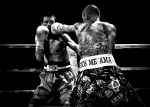 Boxeo 1