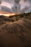 Faro Trafalgar