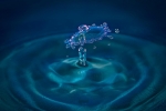 Splash