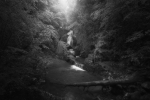 Agua Santa