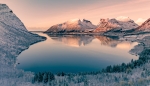 Artic