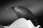Auditorio 03