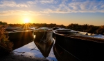 Barcas