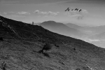 Caminante