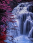 Cascada Cola de Caballo-Valle de Ordesa.
