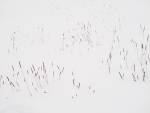 Trazos de invierno