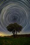 Circumpolar en la Sabana Riojana