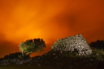 La llum de la nit