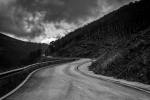 Desolacion