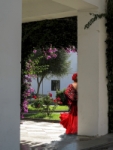 Dialogo de Flores