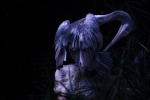 CLAROSCURO 7