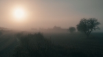 Niebla en la Mancha