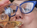 EL BRINDIS