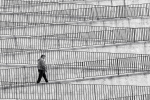 El rumbo de la vida