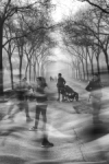 En la niebla