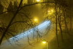 Entre la Niebla