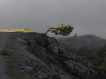 Escalereta