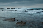 Marejada