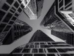 Financial dawn