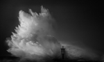Furia Blanca