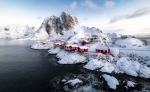 Hamnoy morning
