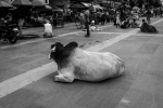 Haridwar