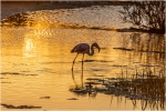 Atardecer
