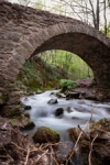 Puente