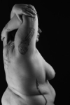 LA MAJA DESNUDA