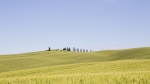 La Toscana