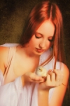 Le poussin