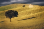 Se avecina tormenta