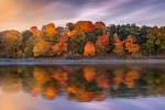 Allí donde nace el otoño