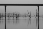 mañana de niebla en la sierra de Cádiz