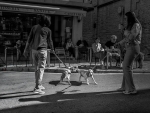 Mascotas