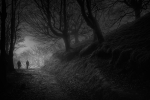 Hacia la luz