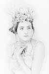 Mongelina