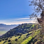 Monte Calvario
