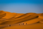 Dunas