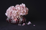 Octubre rosa