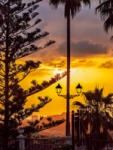 Orotava sunset