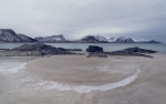 Piel Ártica