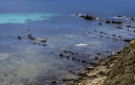 Punta Carnero
