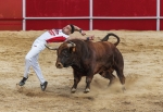 RECORTADOR