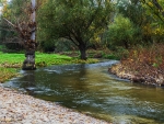 RÍO GUADARRAMA