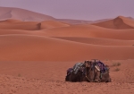 Solo en el desierto