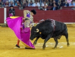 the bulls 03