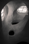The face
