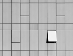 The window II